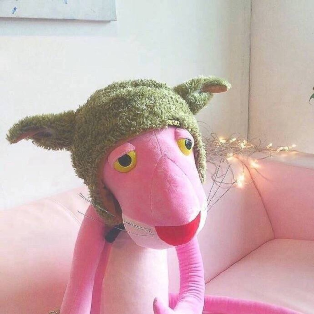 Meet your Posher, Robin