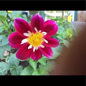 Meet your Posher, Joann