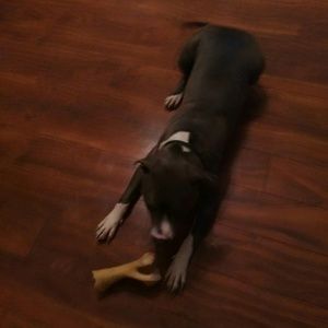 Meet your Posher, Kimberly