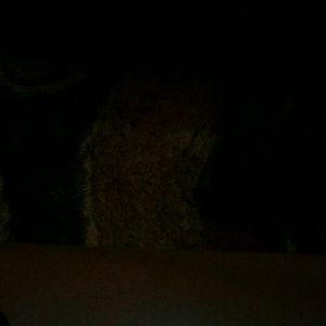 Meet your Posher, Frank