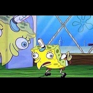 Meet your Posher, Mia