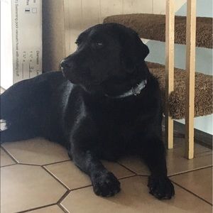 Meet your Posher, Tina