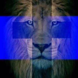 Meet your Posher, Francy