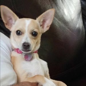 Meet your Posher, Adrian