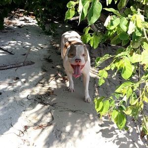 Meet your Posher, Gena