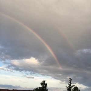 Meet your Posher, Jodi