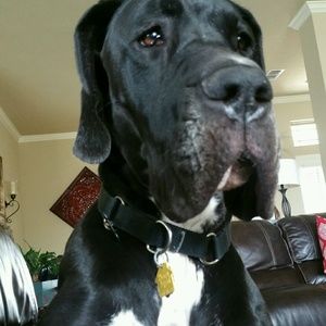 Meet your Posher, Jona