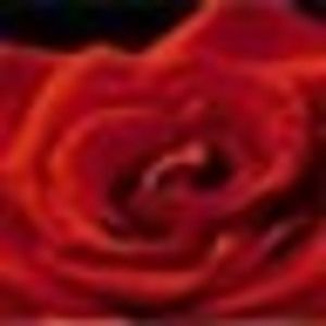 Meet your Posher, Hattie