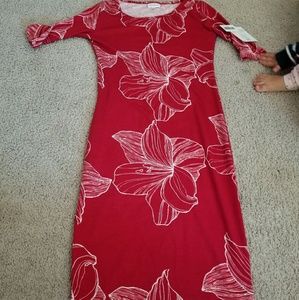 Lularoe Julia dress