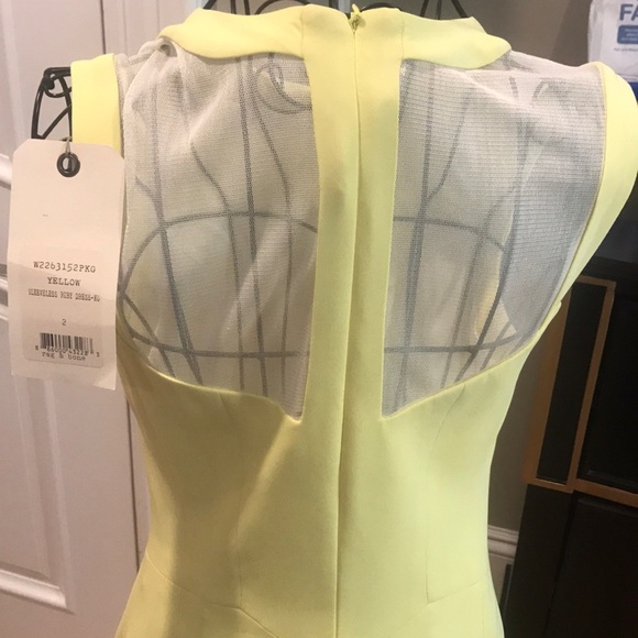 Rag and Bone Sleeveless Ruby Dress - Picture 5 of 5