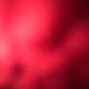 Meet your Posher, Gustavo