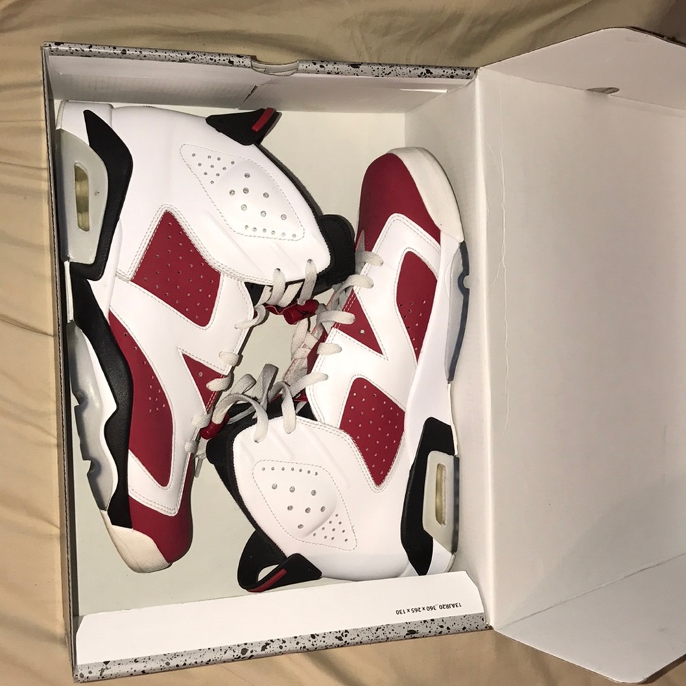 Jordan 6's Carmine - 100% Authentic
