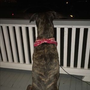 Meet your Posher, Scot