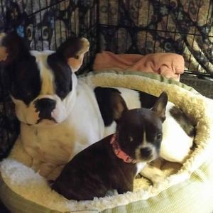 Meet your Posher, Vicky