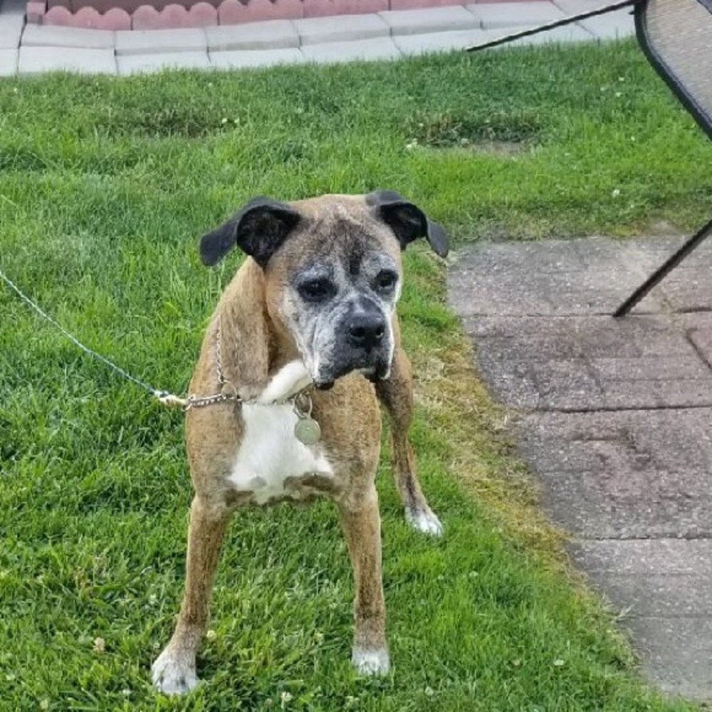 Meet your Posher, Karen