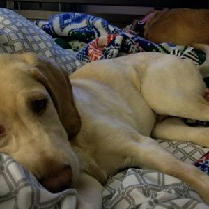 Meet your Posher, Alycia