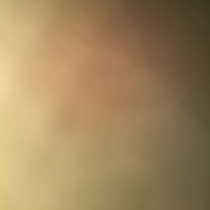 Meet your Posher, Deedee