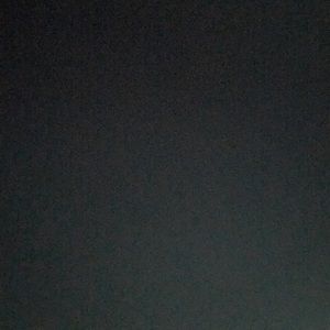 Meet your Posher, Riley