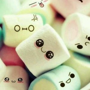 Meet your Posher, Laila