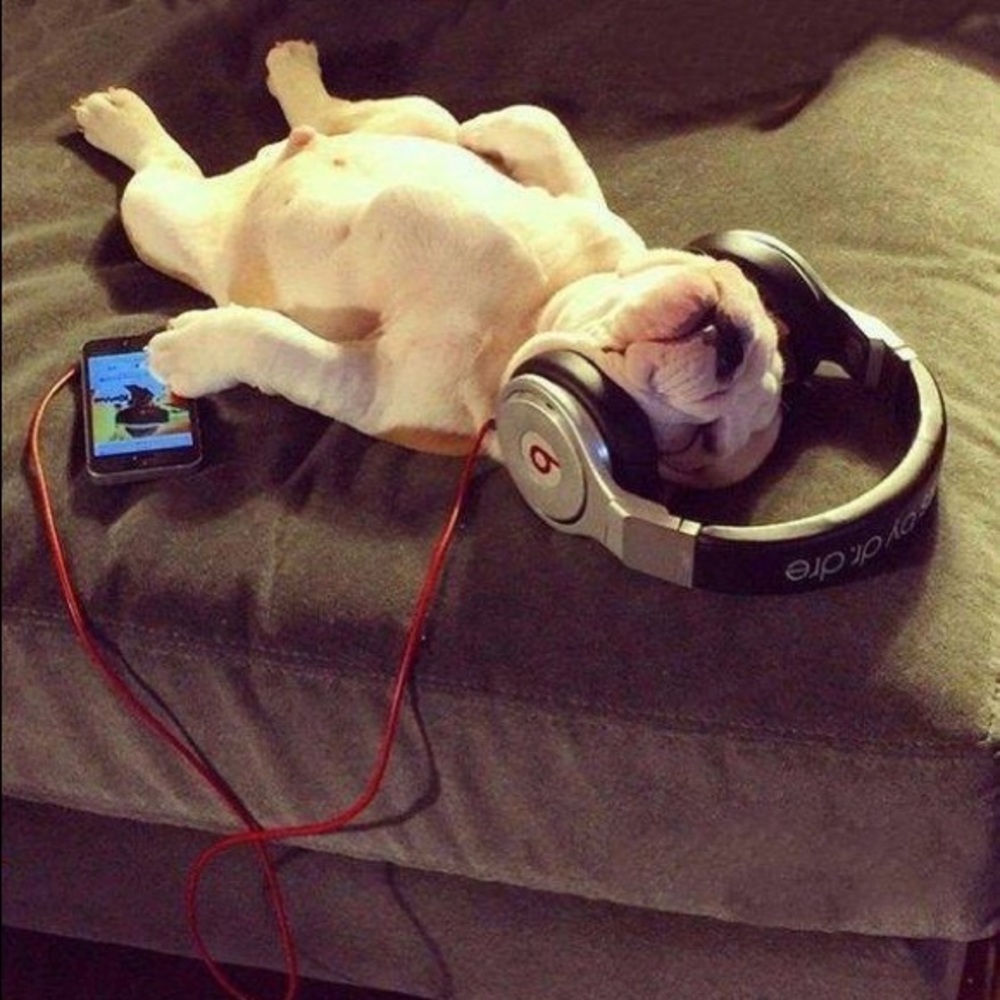 Meet your Posher, Osman