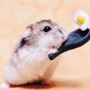 Meet your Posher, Audrey