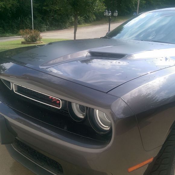 Meet your Posher, Gary - Picture 1 of 1