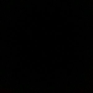 Meet your Posher, Bridget