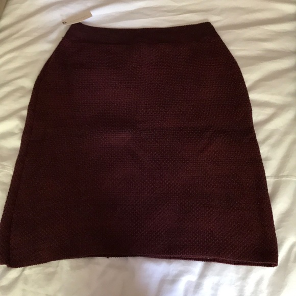 Anthropologie (Mauve) Skirt Size Small - Picture 3 of 5