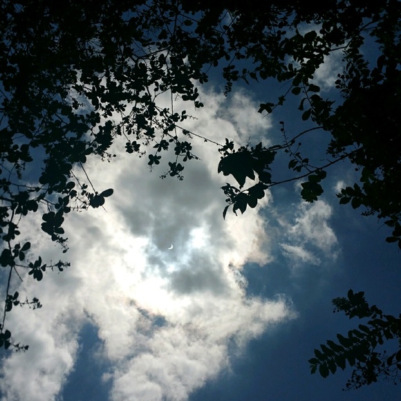 Meet your Posher, At - Picture 1 of 1