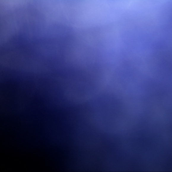 Meet your Posher, Casey - Picture 1 of 1