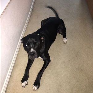 Meet your Posher, Craig