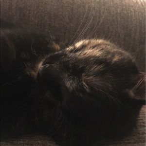 Meet your Posher, Brett