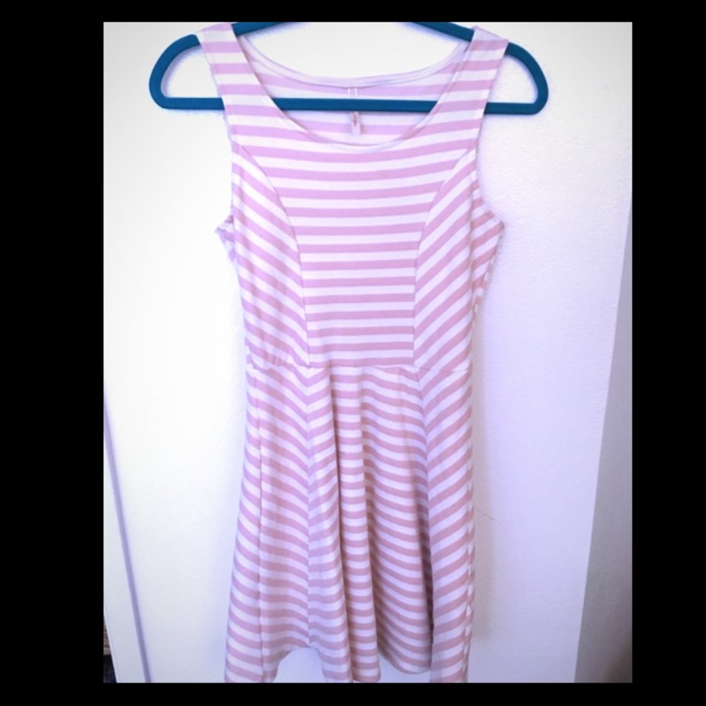 Striped Pink Skater Dress