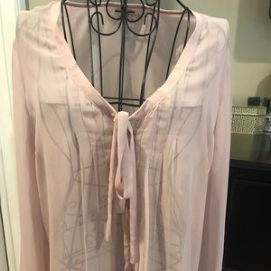 Sheer Light Pink Blouse