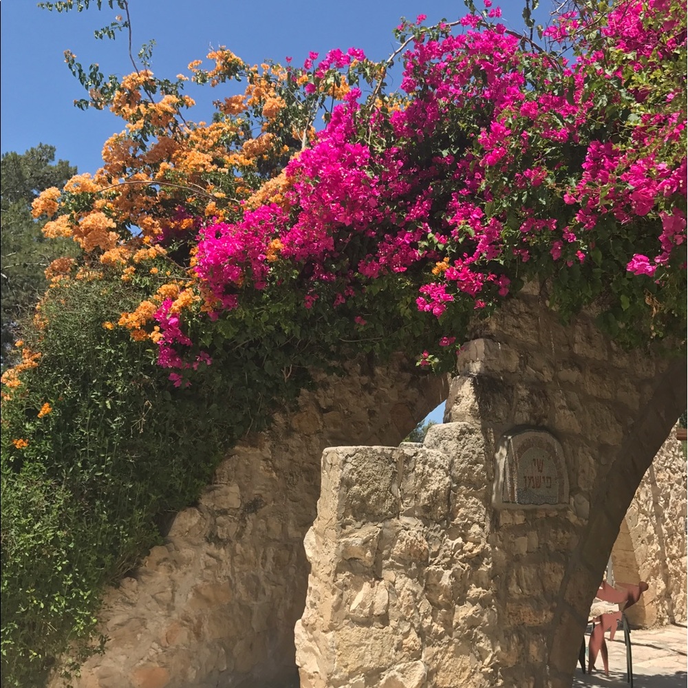 Meet your Posher, Blaine