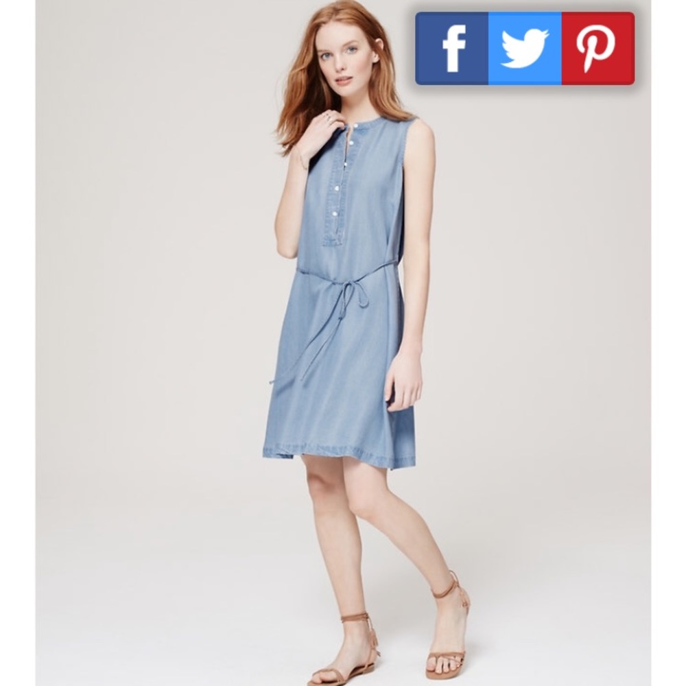 The Loft Denim Dress