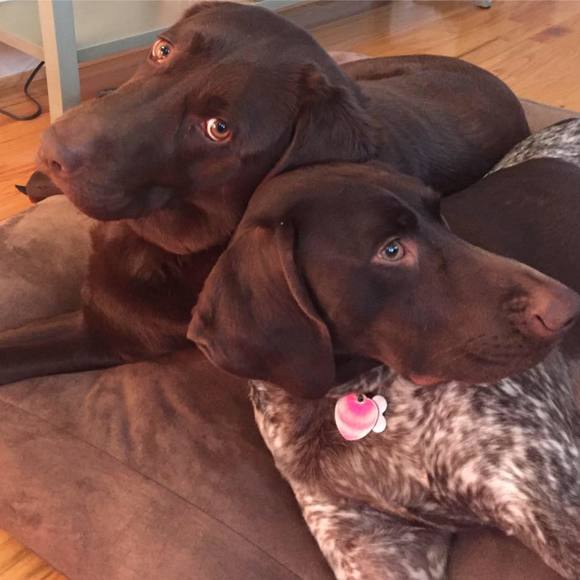 Meet your Posher, Stacy - Picture 1 of 1