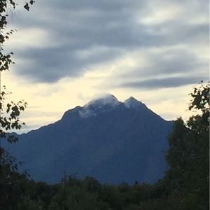 Meet your Posher, Glenda