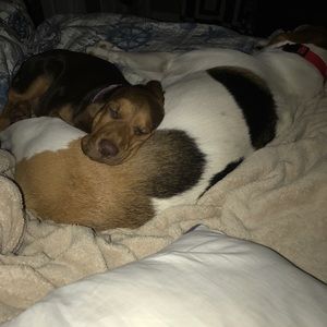 Meet your Posher, Michelle