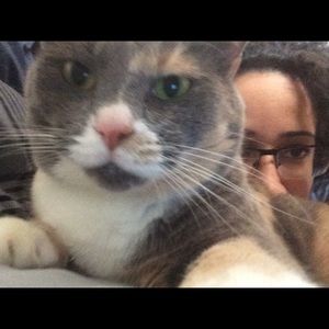 Meet your Posher, Mimi