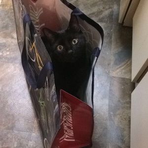 Meet your Posher, Natalie