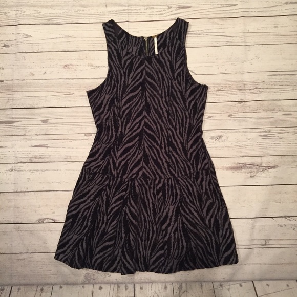 Free People Dresses & Skirts - Free People Dress Chenille Zebra Drop Waist
