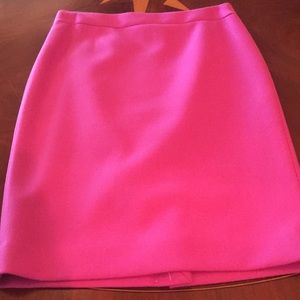 J.Crew Wool Skirt