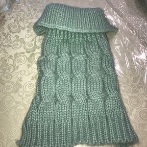 puppy chic teal sweater