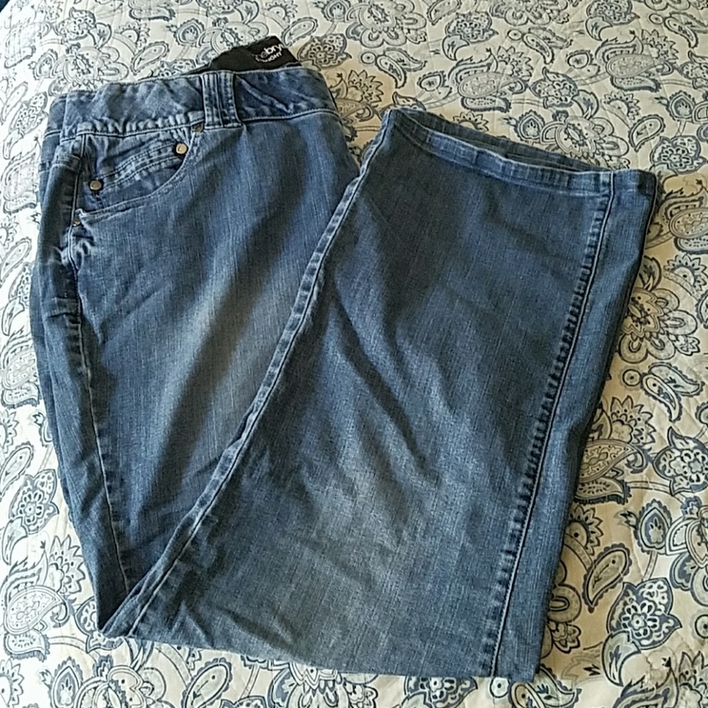Lane Bryant Straight Jeans with T3 size 22
