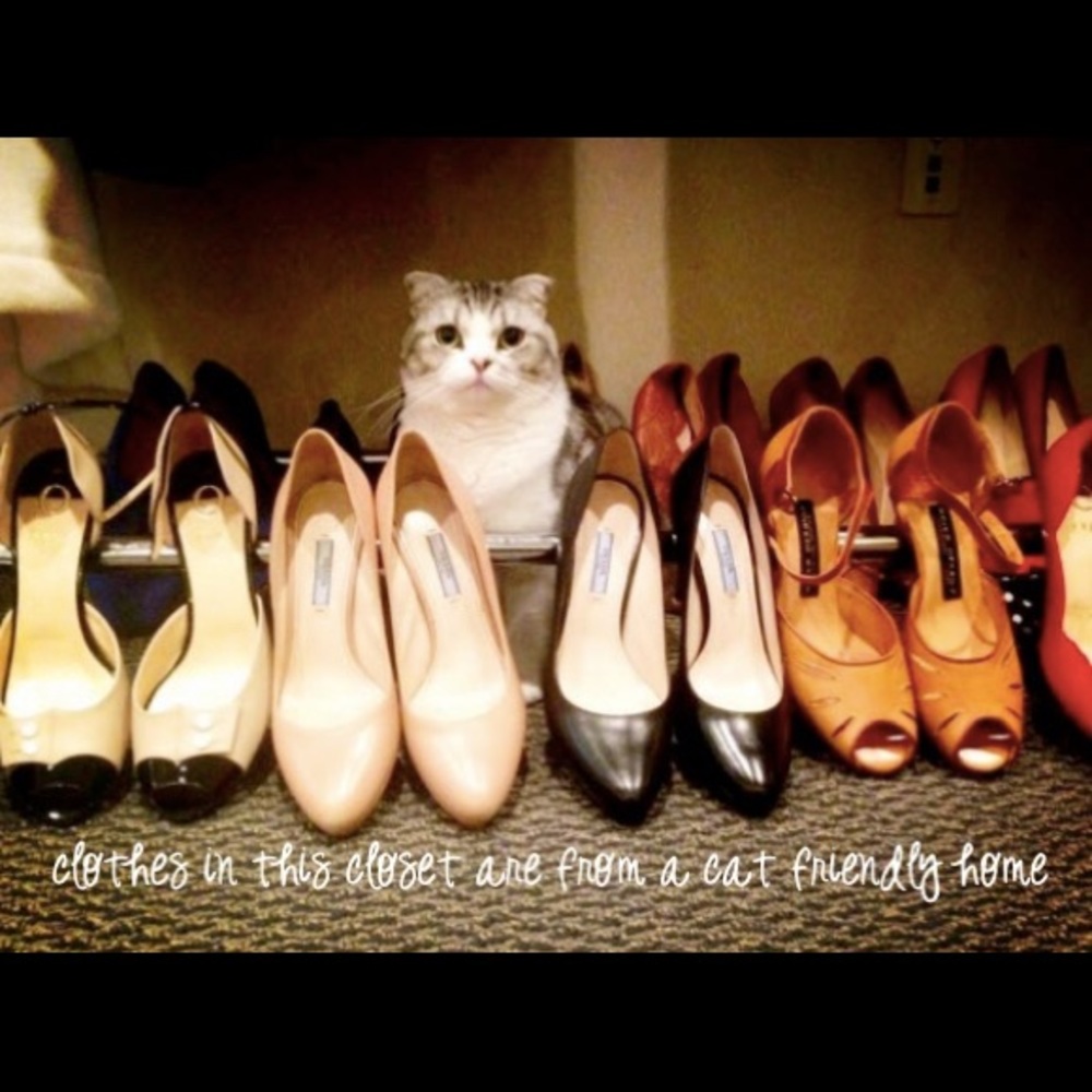 Pet Friendly Closet!