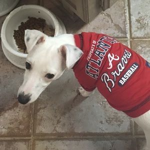 Meet your Posher, Amie