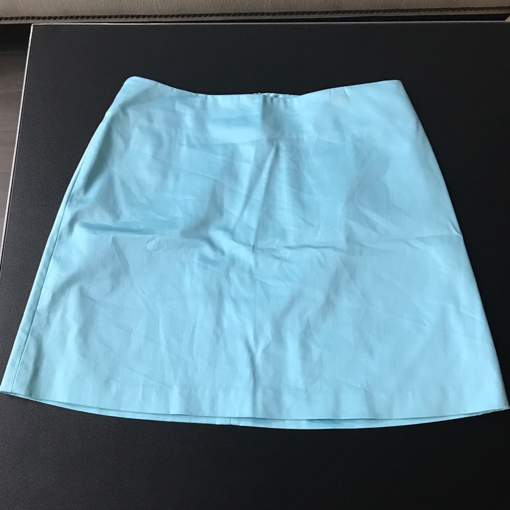 The Limited Skirt - size 8