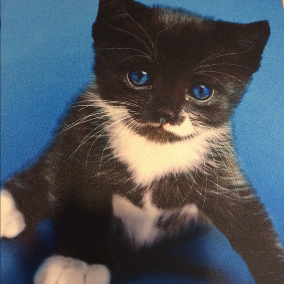 Meet your Posher, Lynne - Picture 1 of 1