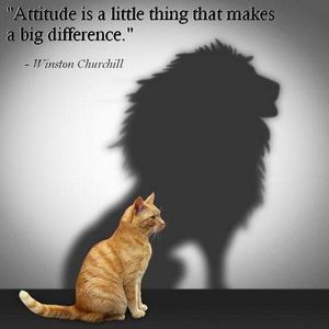 Meet your Posher, Sasha